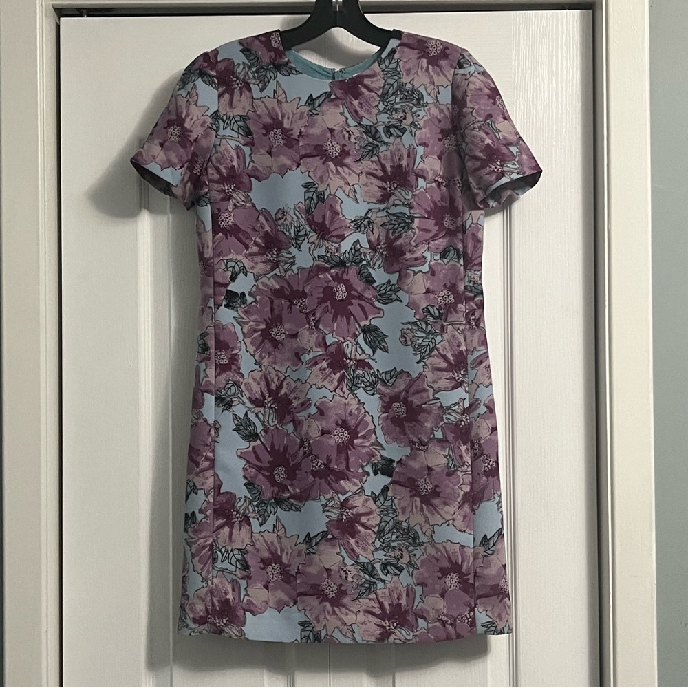 BABATON aritzia Patricio Dune Floral print mini shift dress garden girl